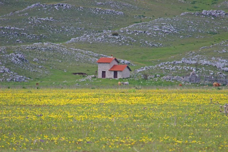 La Stella Danzante B&B Camerata Vecchia 외부 사진