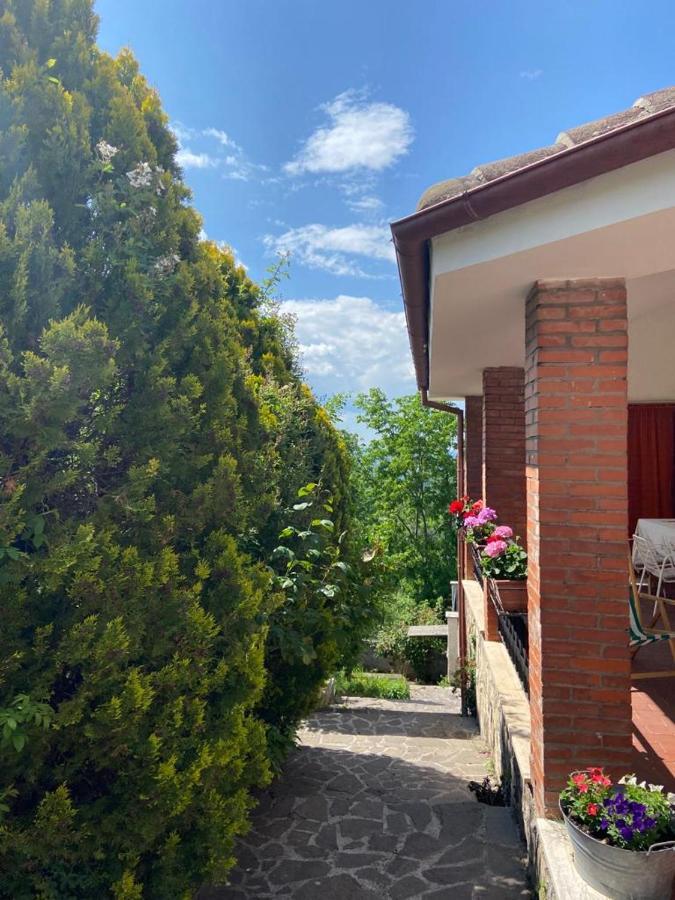 La Stella Danzante B&B Camerata Vecchia 외부 사진